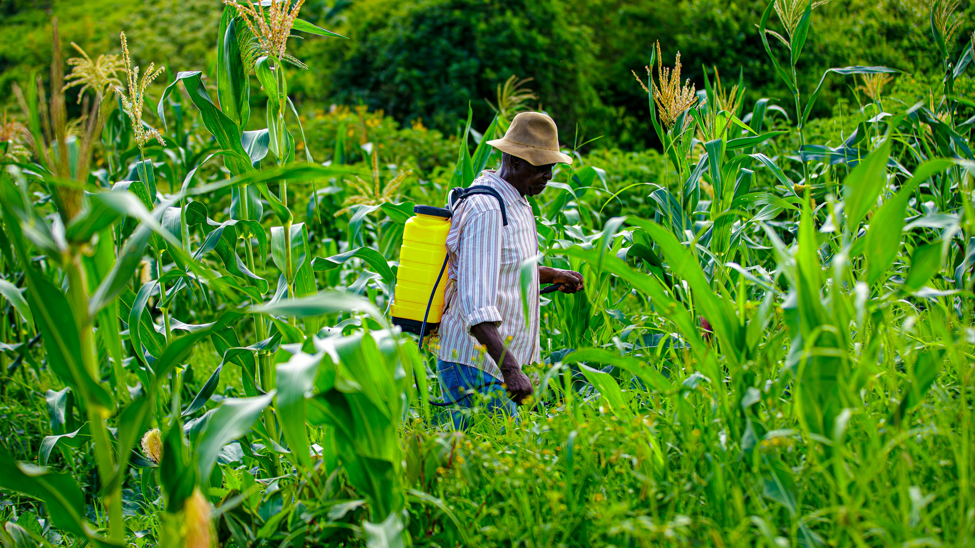 Agro Business